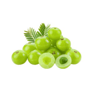 Fresh Organic