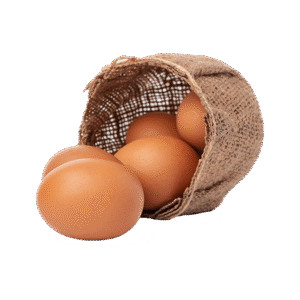 Chiken Egg’s