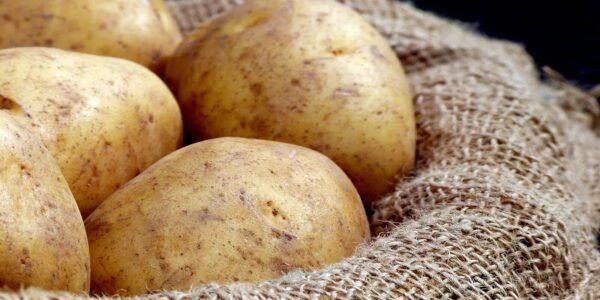 Tamogrow Irish Potatoes (Bio) - Image 2
