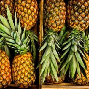 Tamogrow Pineapples (Bio)