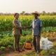 Tamogrow farm chemical supplier about us